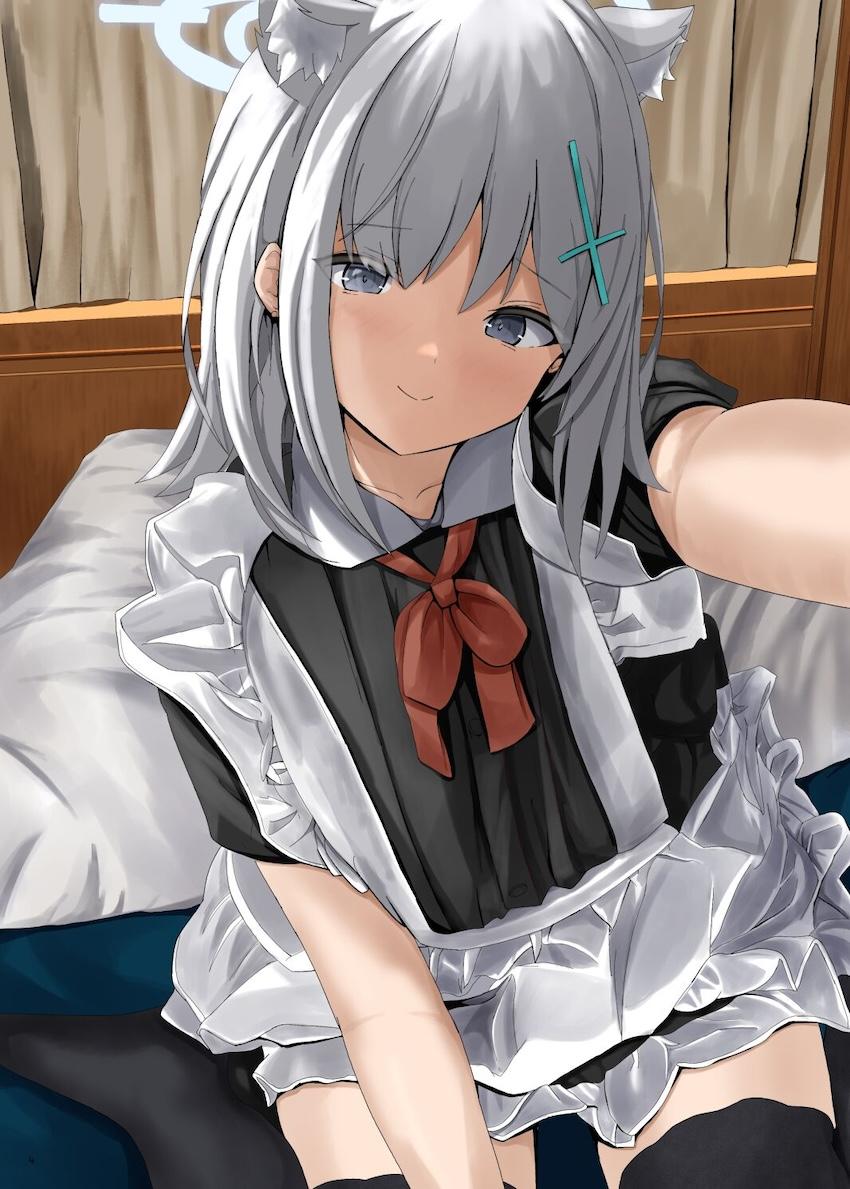 シロコフルカラーイラスト集 <> 003