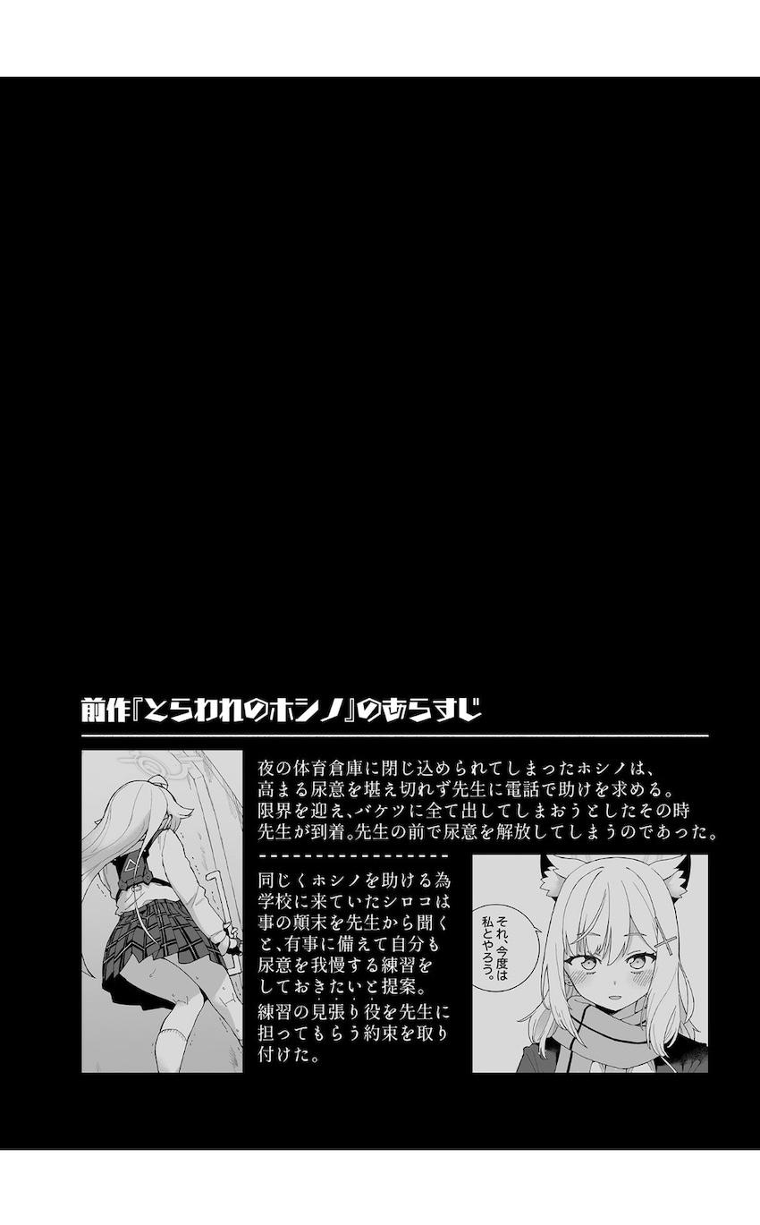 限界まで我慢したおしっこをいっぱい出す！最高に気持ちいいマニアック本 <> 004