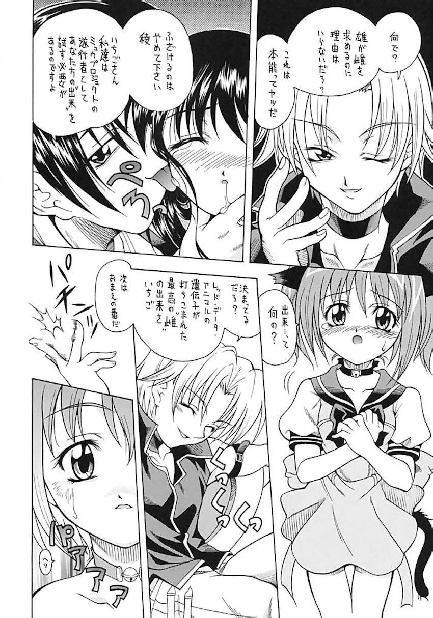 あさばんフェスタ <> 029
