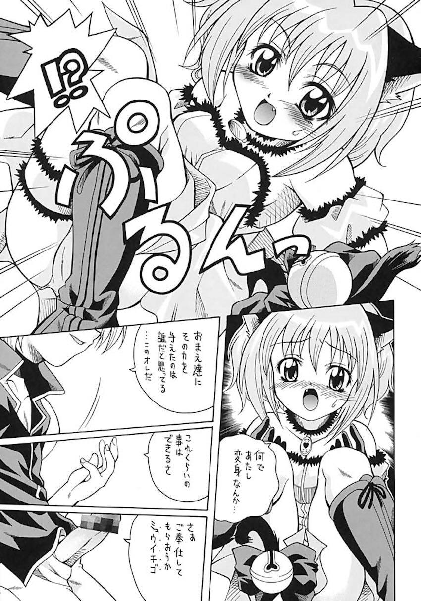 あさばんフェスタ <> 030
