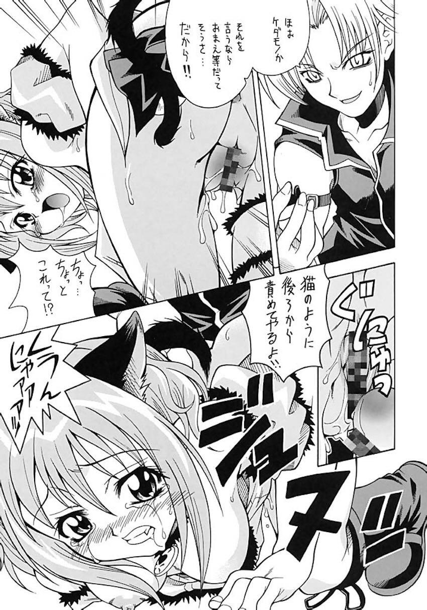 あさばんフェスタ <> 042