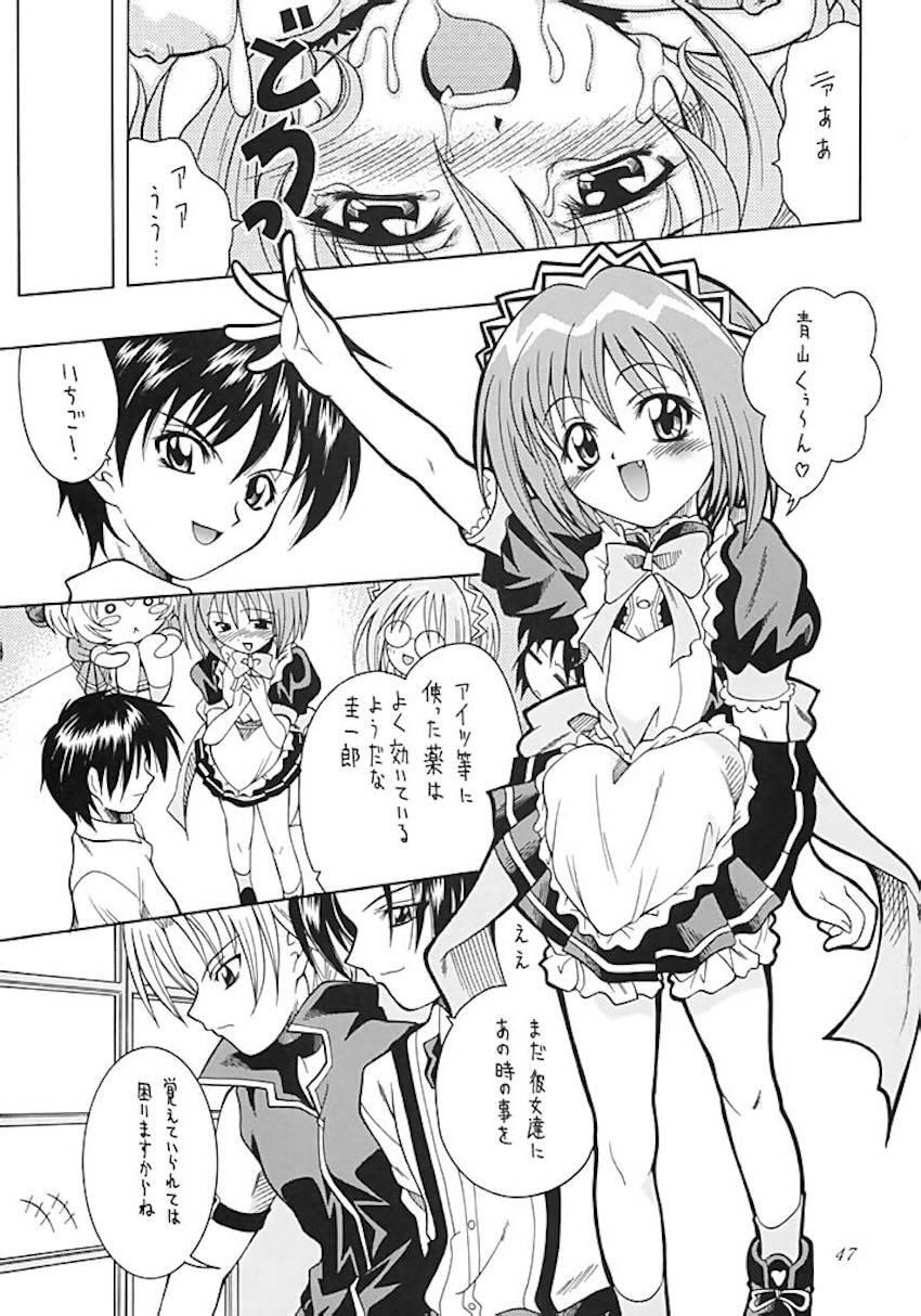 あさばんフェスタ <> 046