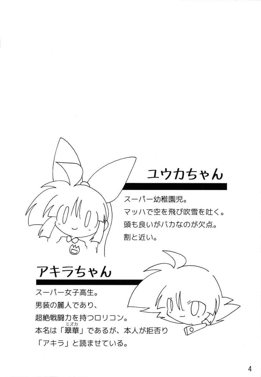 私立タウンズヴァル 幼Chi園2 <> 003