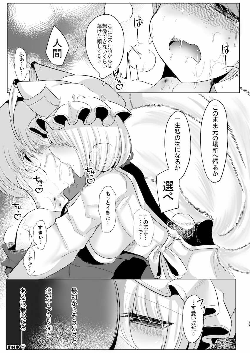 デカチンふたなり痴女八雲藍に逆レイプでアナルをほじられてメスになる！ <> 034