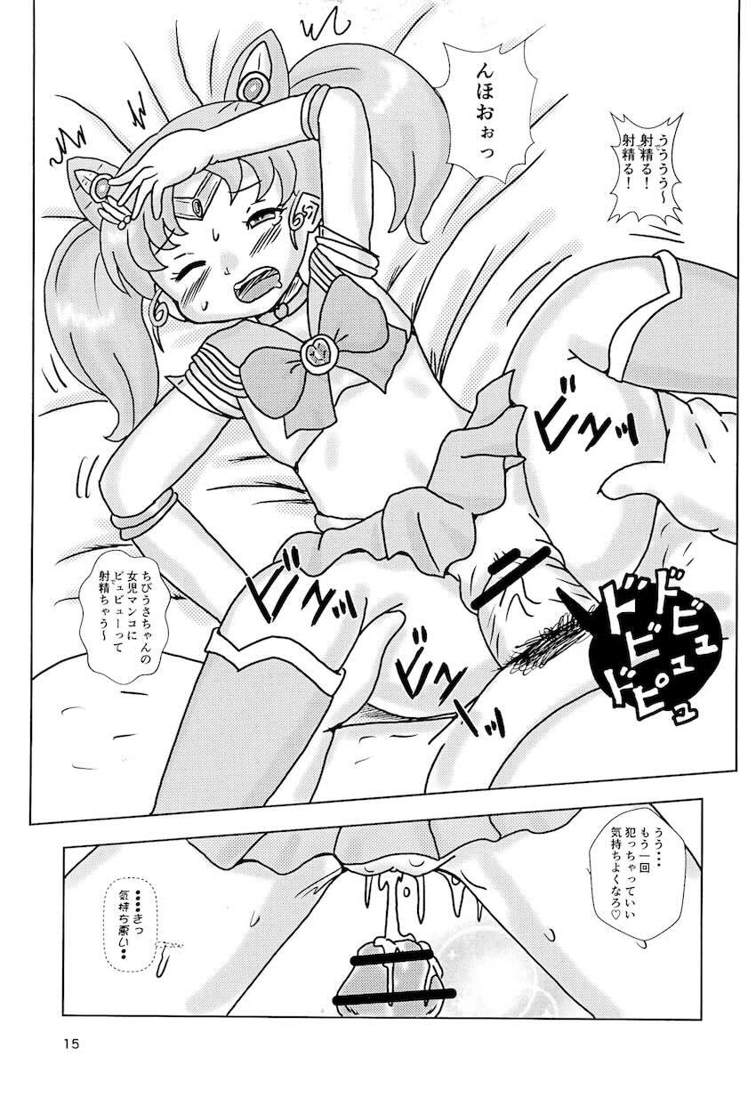 美少女出張ケアムーンプリンセス <> 014