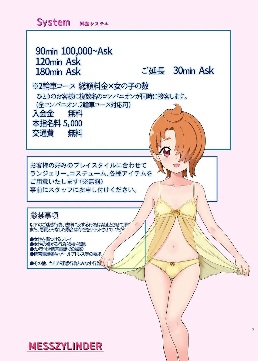 本日出勤！パネルで選ぶプリキュア風俗2.5 <> 002