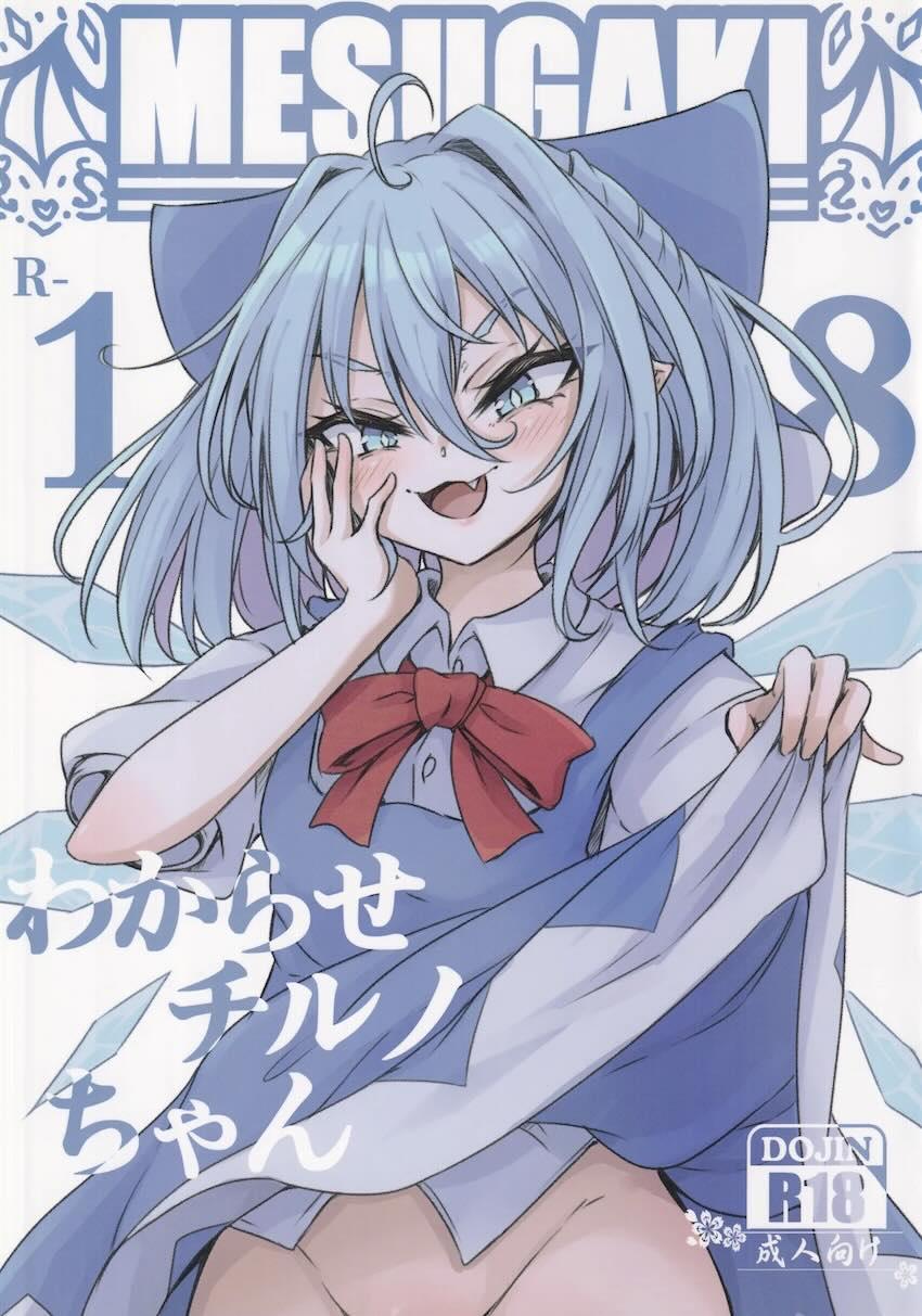 メスガキ妖精チルノ VS 甘次郎 <> 1
