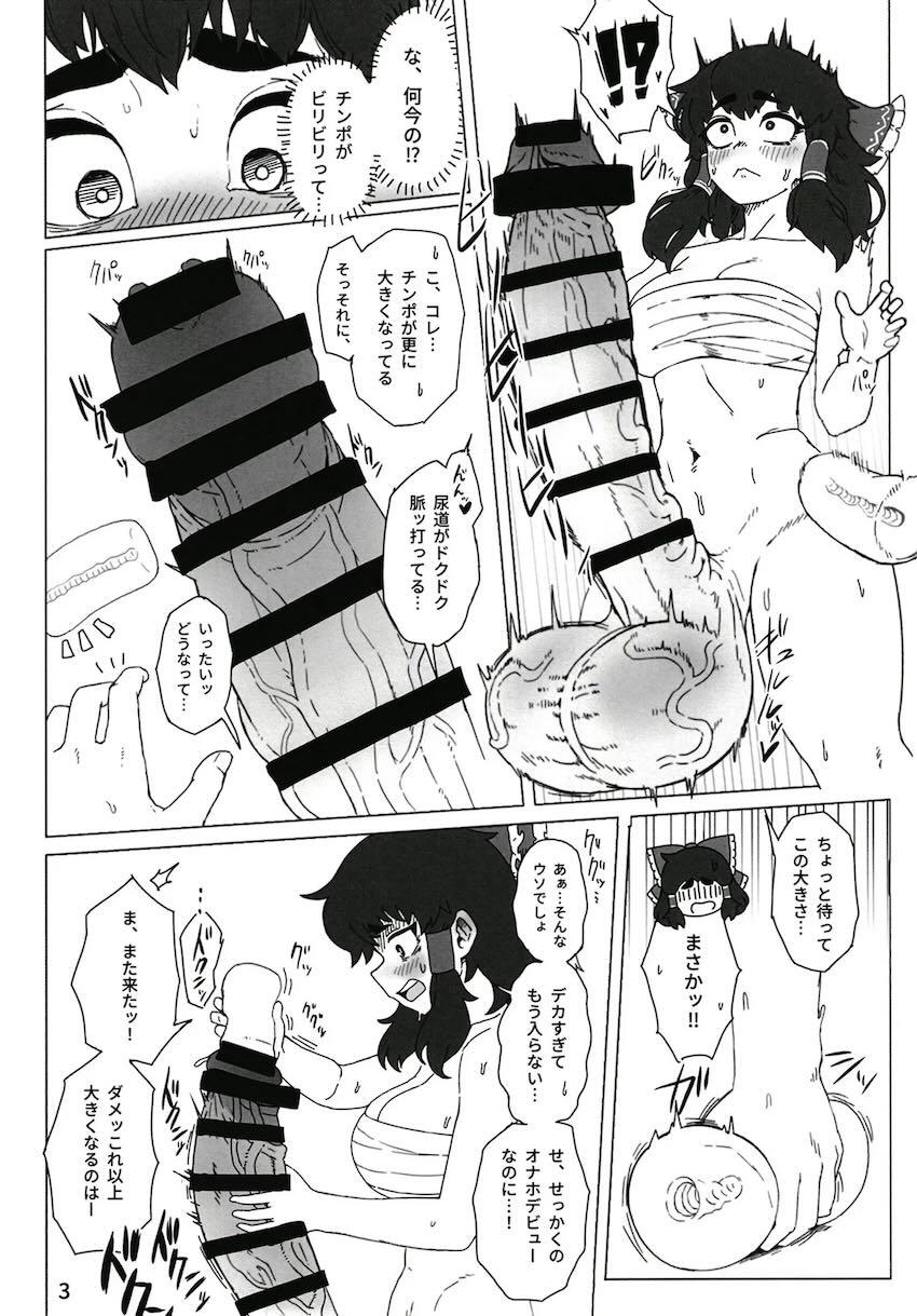 チルノのふたなりデカチンポを使って尿道オナニーする規格外デカチンポふたなり霊夢 <> 004