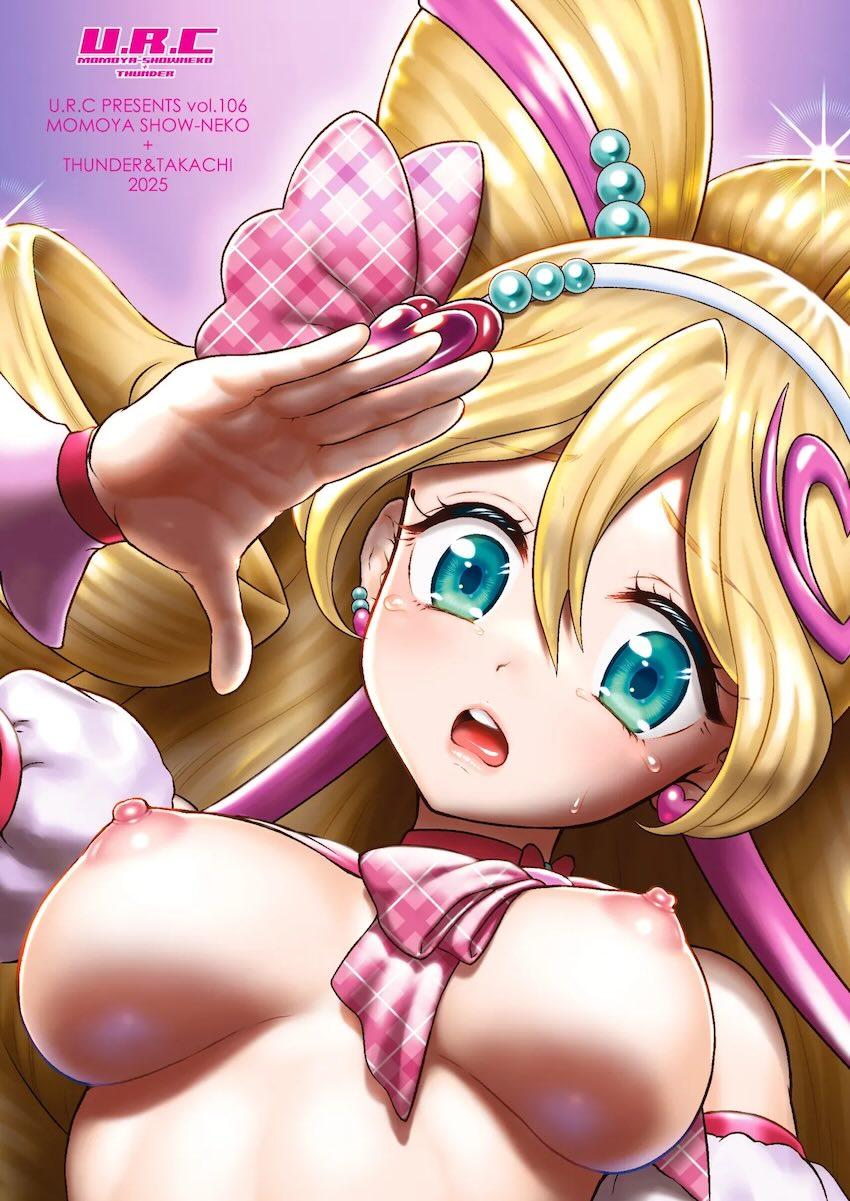輪姦レイプで中出しされちゃうキュアアイドル！ <> 030