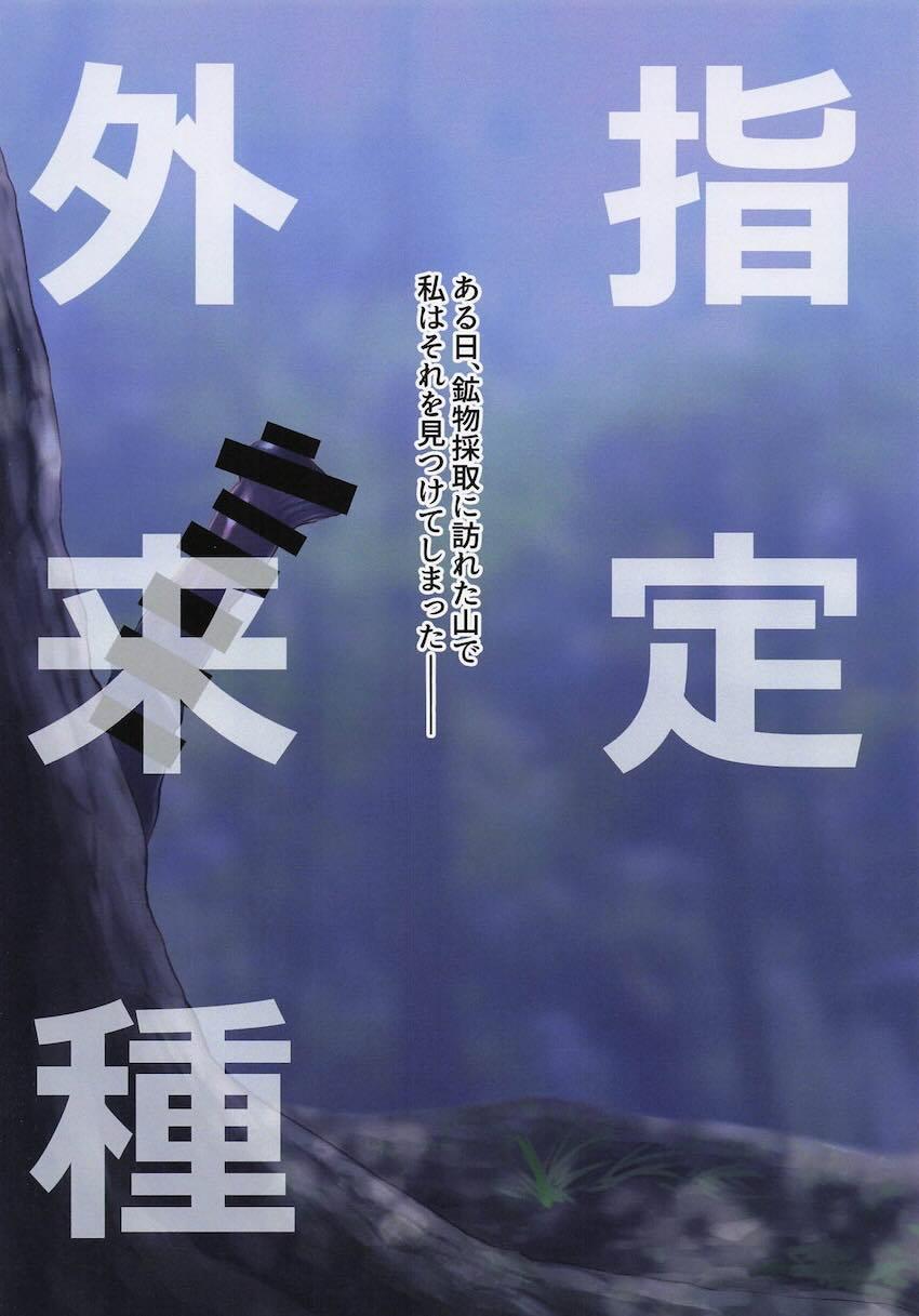 ウマノクロビカリデカマラタケ <> 002